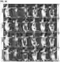 Fig. 20 - CARBON QUANTUM DOTS AND USES THEREOF