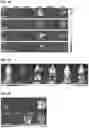 Fig. 21 - CARBON QUANTUM DOTS AND USES THEREOF
