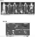 Fig. 24 - CARBON QUANTUM DOTS AND USES THEREOF
