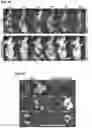 Fig. 28 - CARBON QUANTUM DOTS AND USES THEREOF