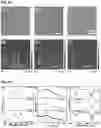 Fig. 37 - CARBON QUANTUM DOTS AND USES THEREOF