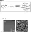 Fig. 40 - CARBON QUANTUM DOTS AND USES THEREOF