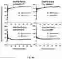 Fig. 09 - SYSTEM AND METHOD FOR QUANTITATIVE MAPPING OF MITOCHONDRIAL COMPLEX 1