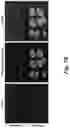 Fig. 09 - LOW MOLECULAR WEIGHT AND POLYAMIDOAMINE (PAMAM) DENDRIMER BASED PSMA-SPECIFIC DUAL CONTRAST AGENTS FOR OPTICAL AND PHOTOACOUSTIC IMAGING AND THERANOSTIC AGENTS FOR TREATING PROSTATE CANCER