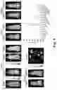 Fig. 11 - LOW MOLECULAR WEIGHT AND POLYAMIDOAMINE (PAMAM) DENDRIMER BASED PSMA-SPECIFIC DUAL CONTRAST AGENTS FOR OPTICAL AND PHOTOACOUSTIC IMAGING AND THERANOSTIC AGENTS FOR TREATING PROSTATE CANCER