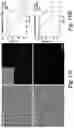 Fig. 22 - LOW MOLECULAR WEIGHT AND POLYAMIDOAMINE (PAMAM) DENDRIMER BASED PSMA-SPECIFIC DUAL CONTRAST AGENTS FOR OPTICAL AND PHOTOACOUSTIC IMAGING AND THERANOSTIC AGENTS FOR TREATING PROSTATE CANCER