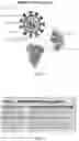 Fig. 03 - OZONE SYSTEM FOR THE INACTIVATION OF BACTERIA AND VIRUSES