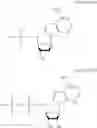 Fig. 25 - ADHESIVE COMPOSITIONS COMPRISING THERAPEUTICS