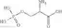Fig. 33 - ADHESIVE COMPOSITIONS COMPRISING THERAPEUTICS