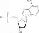 Fig. 35 - ADHESIVE COMPOSITIONS COMPRISING THERAPEUTICS