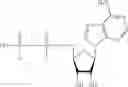 Fig. 36 - ADHESIVE COMPOSITIONS COMPRISING THERAPEUTICS