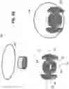 Fig. 09 - 3D VASCULARIZED HUMAN OCULAR TISSUE FOR CELL THERAPY AND DRUG DISCOVERY