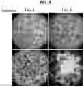 Fig. 11 - 3D VASCULARIZED HUMAN OCULAR TISSUE FOR CELL THERAPY AND DRUG DISCOVERY