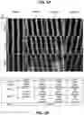 Fig. 12 - 3D VASCULARIZED HUMAN OCULAR TISSUE FOR CELL THERAPY AND DRUG DISCOVERY