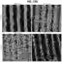 Fig. 22 - 3D VASCULARIZED HUMAN OCULAR TISSUE FOR CELL THERAPY AND DRUG DISCOVERY
