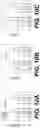 Fig. 16 - THREE-DIMENSIONAL PRINTED CALCIUM PHOSPHATE BONE CEMENT COMPOSITE SCAFFOLDS FOR BONE REGENERATION, PRECURSOR COMPOSITIONS, AND METHODS OF PRINTING