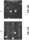 Fig. 20 - THREE-DIMENSIONAL PRINTED CALCIUM PHOSPHATE BONE CEMENT COMPOSITE SCAFFOLDS FOR BONE REGENERATION, PRECURSOR COMPOSITIONS, AND METHODS OF PRINTING