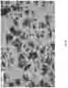 Fig. 07 - Injectable gel product