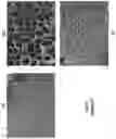 Fig. 09 - LIQUID COMPOSITION AND POROUS HARDENED MATERIAL COMPRISING TETRAFLUOROETHYLENE AND VINYL MOIETY CO-POLYMERS