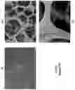 Fig. 10 - LIQUID COMPOSITION AND POROUS HARDENED MATERIAL COMPRISING TETRAFLUOROETHYLENE AND VINYL MOIETY CO-POLYMERS