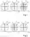 Fig. 02 - OPHTHALMOLOGICAL COMPOSITION