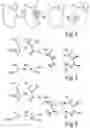 Fig. 03 - OPHTHALMOLOGICAL COMPOSITION