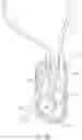 Fig. 07 - INTRAVENOUS INFUSION PUMPS WITH SYSTEM AND PHARMACODYNAMIC MODEL ADJUSTMENT FOR DISPLAY AND OPERATION