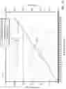 Fig. 32 - INTRAVENOUS INFUSION PUMPS WITH SYSTEM AND PHARMACODYNAMIC MODEL ADJUSTMENT FOR DISPLAY AND OPERATION