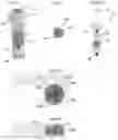 Fig. 04 - DRUG DELIVERY DEVICE SENSING MODULES