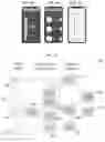 Fig. 25 - DRUG DELIVERY DEVICE SENSING MODULES