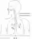 Fig. 15 - FLOW THERAPY SYSTEM AND METHOD