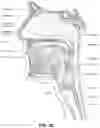 Fig. 06 - CONDUIT HEADGEAR