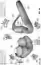 Fig. 16 - CONDUIT HEADGEAR