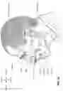 Fig. 07 - Textile conduit with windows