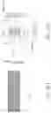 Fig. 105 - MEDICAL BALLOON CATHETERS WITH ENHANCED PUSHABILITY