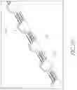 Fig. 55 - MEDICAL BALLOON CATHETERS WITH ENHANCED PUSHABILITY