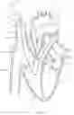 Fig. 54 - SYSTEMS AND METHODS FOR SELECTIVELY OCCLUDING THE SUPERIOR VENA CAVA FOR TREATING HEART CONDITIONS