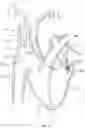 Fig. 68 - SYSTEMS AND METHODS FOR SELECTIVELY OCCLUDING THE SUPERIOR VENA CAVA FOR TREATING HEART CONDITIONS