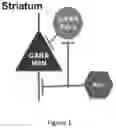 Fig. 02 - Non-invasive brain stimulation