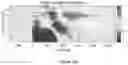 Fig. 48 - Non-invasive brain stimulation