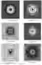 Fig. 12 - Method for protecting biological objects from the negative influence of technogenic electromagnetic radiation