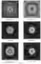 Fig. 13 - Method for protecting biological objects from the negative influence of technogenic electromagnetic radiation