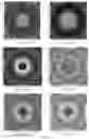 Fig. 14 - Method for protecting biological objects from the negative influence of technogenic electromagnetic radiation