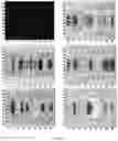 Fig. 15 - Method for protecting biological objects from the negative influence of technogenic electromagnetic radiation