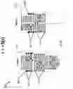 Fig. 21 - APPARATUS AND METHOD FOR IMPROVING ELECTRIC FIELD THERAPY TO REDUCE SOLID TUMORS