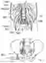 Fig. 15 - Systems and methods to place one or more leads in tissue for providing functional and/or therapeutic stimulation