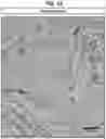 Fig. 04 - Stimulation of a nerve supplying the spleen