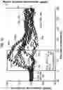 Fig. 15 - Stimulation of a nerve supplying the spleen
