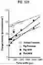 Fig. 36 - Stimulation of a nerve supplying the spleen