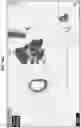 Fig. 38 - Stimulation of a nerve supplying the spleen